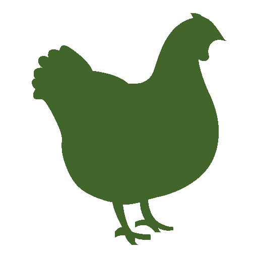chicken