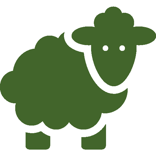 farm-sheep