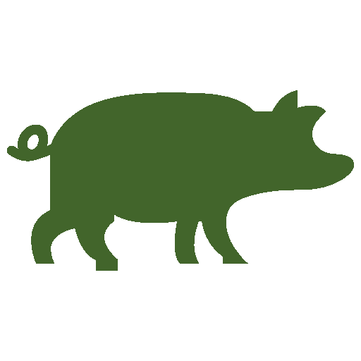 pig