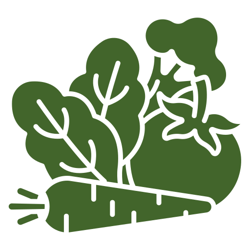 vegetable