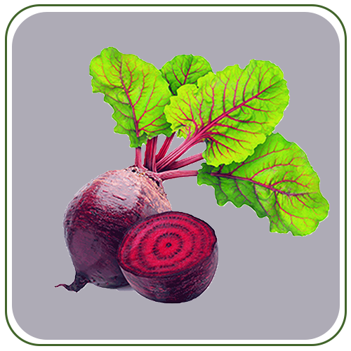 beetroot 1