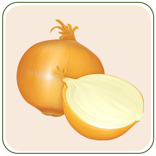 onion 1
