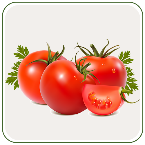 tomato 1